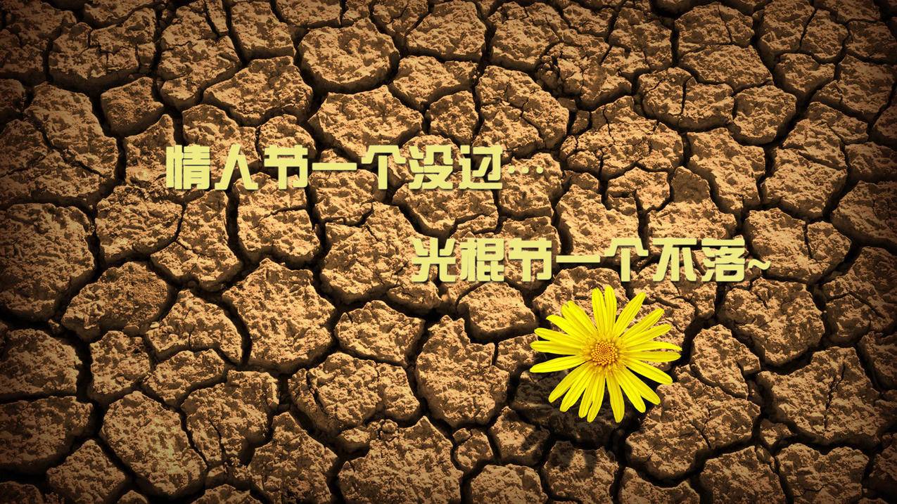 客服主管王小华